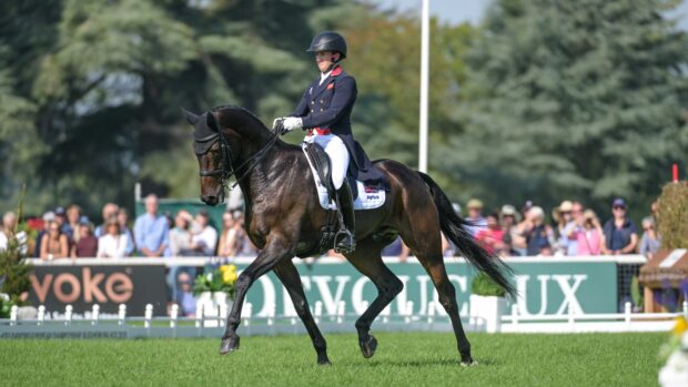 Blenheim European Championships dressage: Tom McEwen and JL Dublin