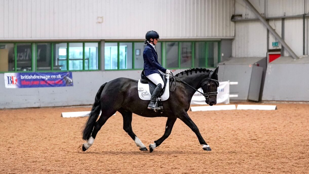 ‘All horses can shine’ meet the ‘miracle’ dressage cob who defied the