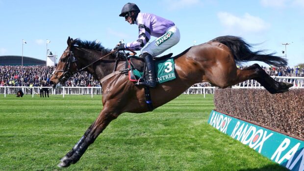 Stage Star, pictured with jockey Harry Cobden, has retired from racing.