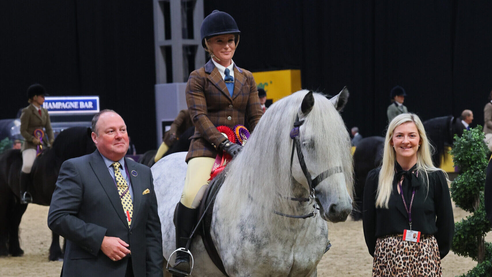Highcroft Romany and Jess Talbot win the Dales class and are one of 25 stunning M&Ms who won at HOYS