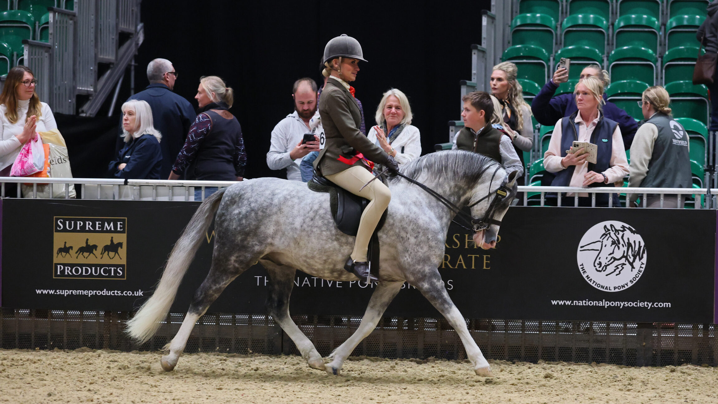 Kallared Heartbeat and Vikki Smith are winners of the Welsh section B class at HOYS 2025