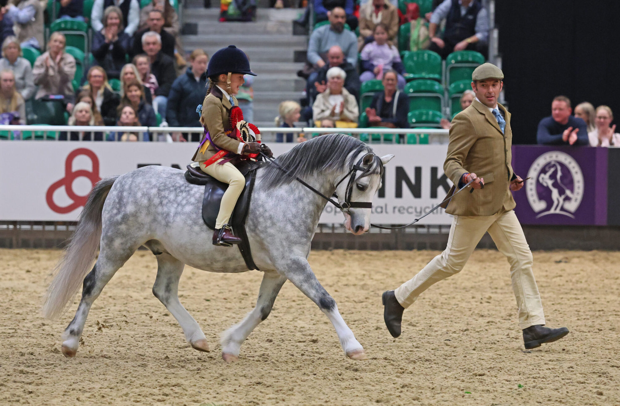 Rowfantina Principle Dancer ridden by Isabel Burchell and led by Oliver Burchell are one of 25 M&Ms who won at HOYS 2025