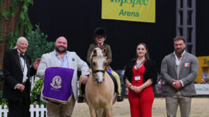 Wernderris Charlie Fox and Jemima Makin-Jones stand mountain and moorland mini champion at HOYS