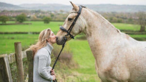 spotty dressage horse