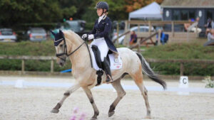 spotty dressage horse