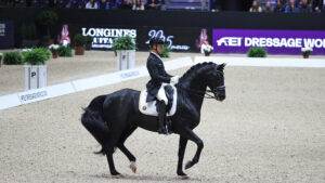 Justin Verboomen and Zonik Plus win the grand prix at Lyon CDI-W.