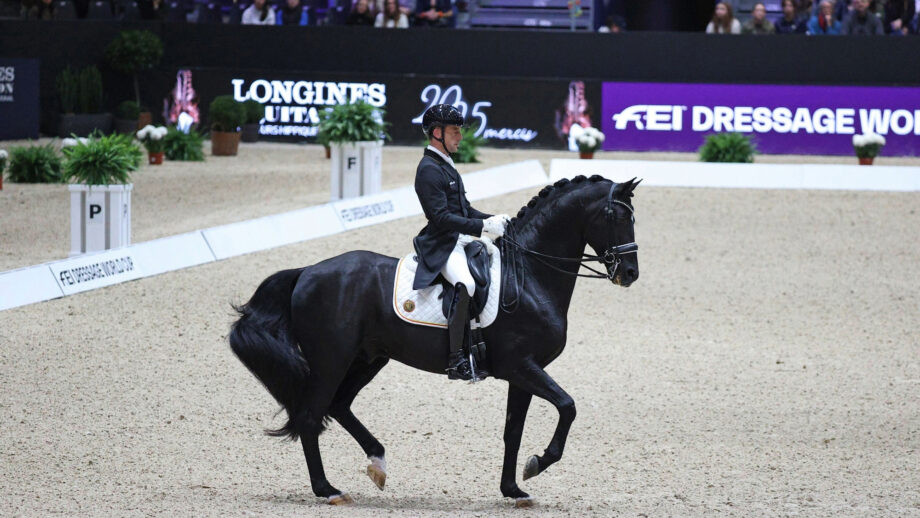 Justin Verboomen and Zonik Plus win the grand prix at Lyon CDI-W.