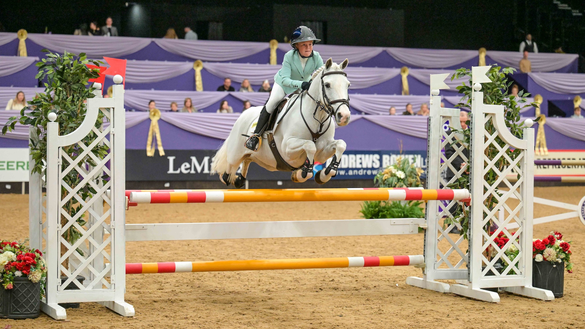 Anya Dewey Clarke and JIM (COBID) - Winner - Enablelink Ltd 128cm Championship - during the Horse of the Year Show held at the NEC in Birmingham in UK between 8 -12 th October 2025
