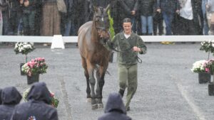 Bubby Upton and Cannavaro at the final trot-up at Pau Horse Trials