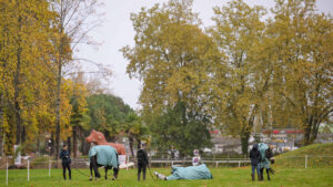 Bubby Upton's horses enjoy some grazing time at Pau Horse Trials