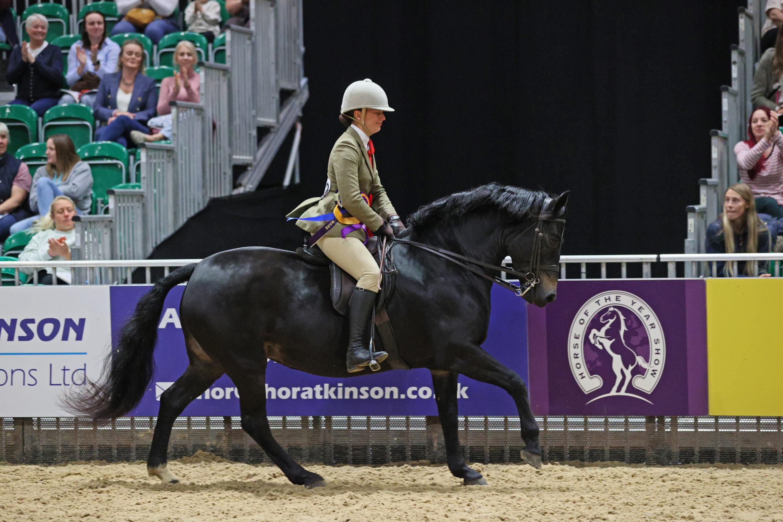 Trenley Trinket and Lauren Brill win the New Forest breed class.