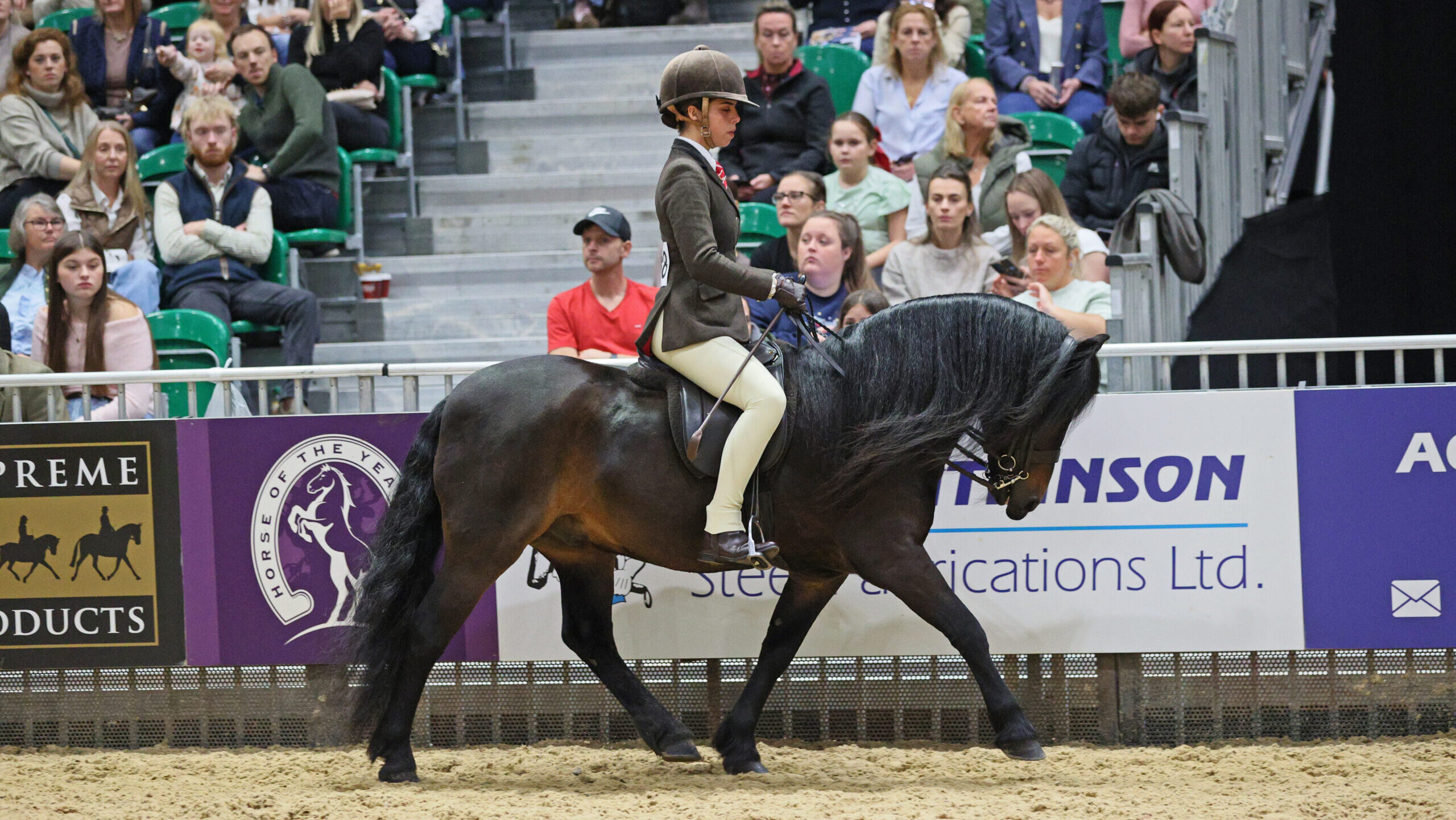 M&M Dartmoor pony Pricklegate Brown Owl and Alyia Khan win their breed class at HOYS