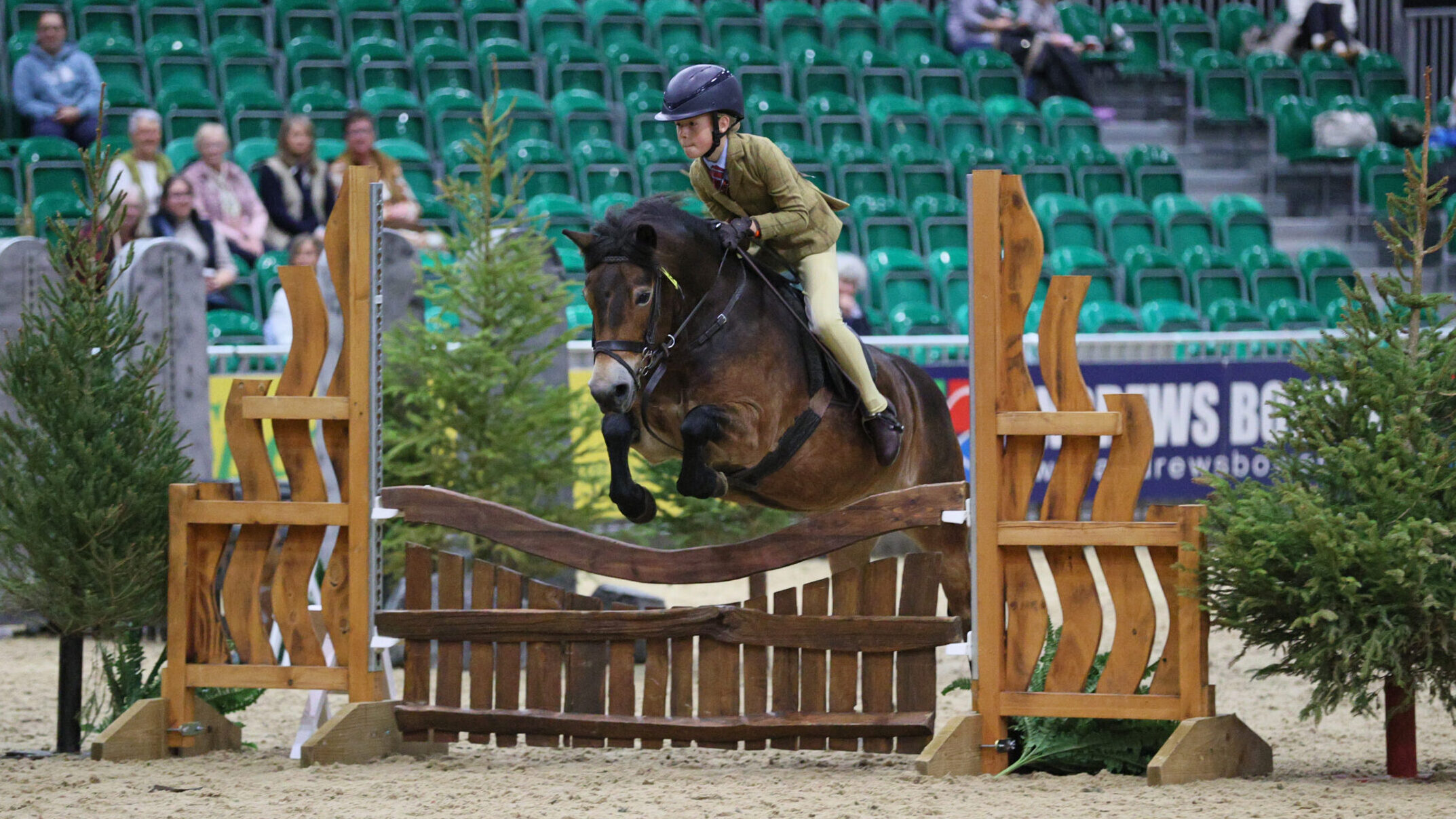 Anchor Lullaby and Alice Bowling-Hartenfeld jump to glory in the M&M junior workers and then stand reserve overall.