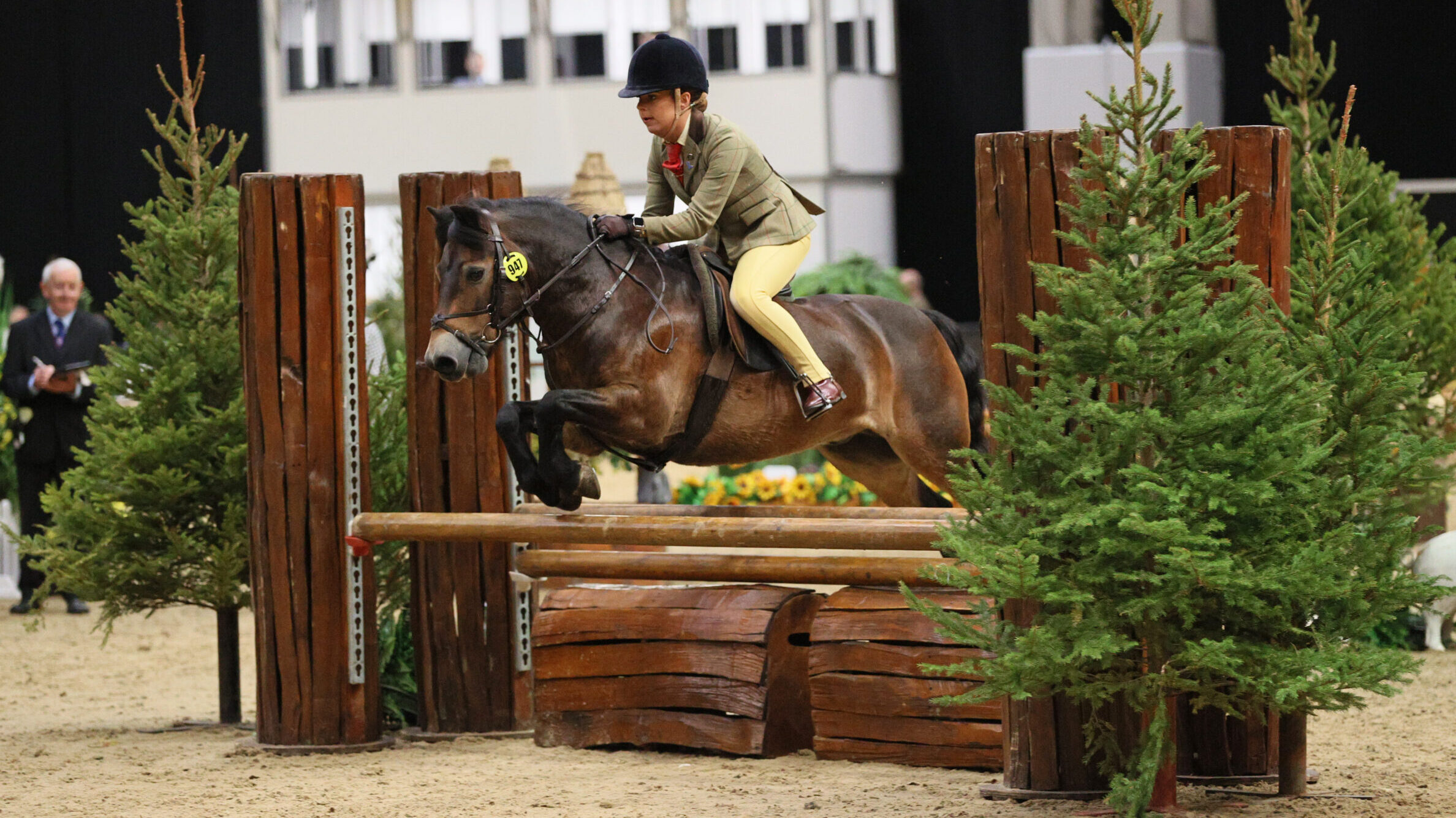 Moonpenny Delphinus and Molly Barker jump clear to win the 122cm open M&M working hunter pony final at HOYS 2025
