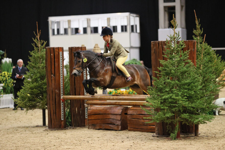Moonpenny Delphius and Molly Barker jump to victory in the 122cm M&M working hunter pony class