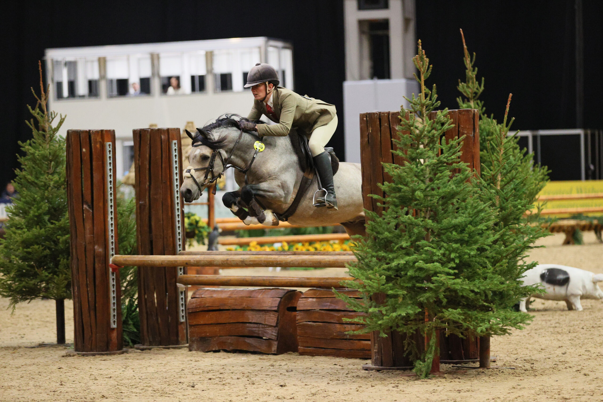 Dycott Special Delivery and Georgia Love jump to a win in the 133cm M&M workers at HOYS 2025