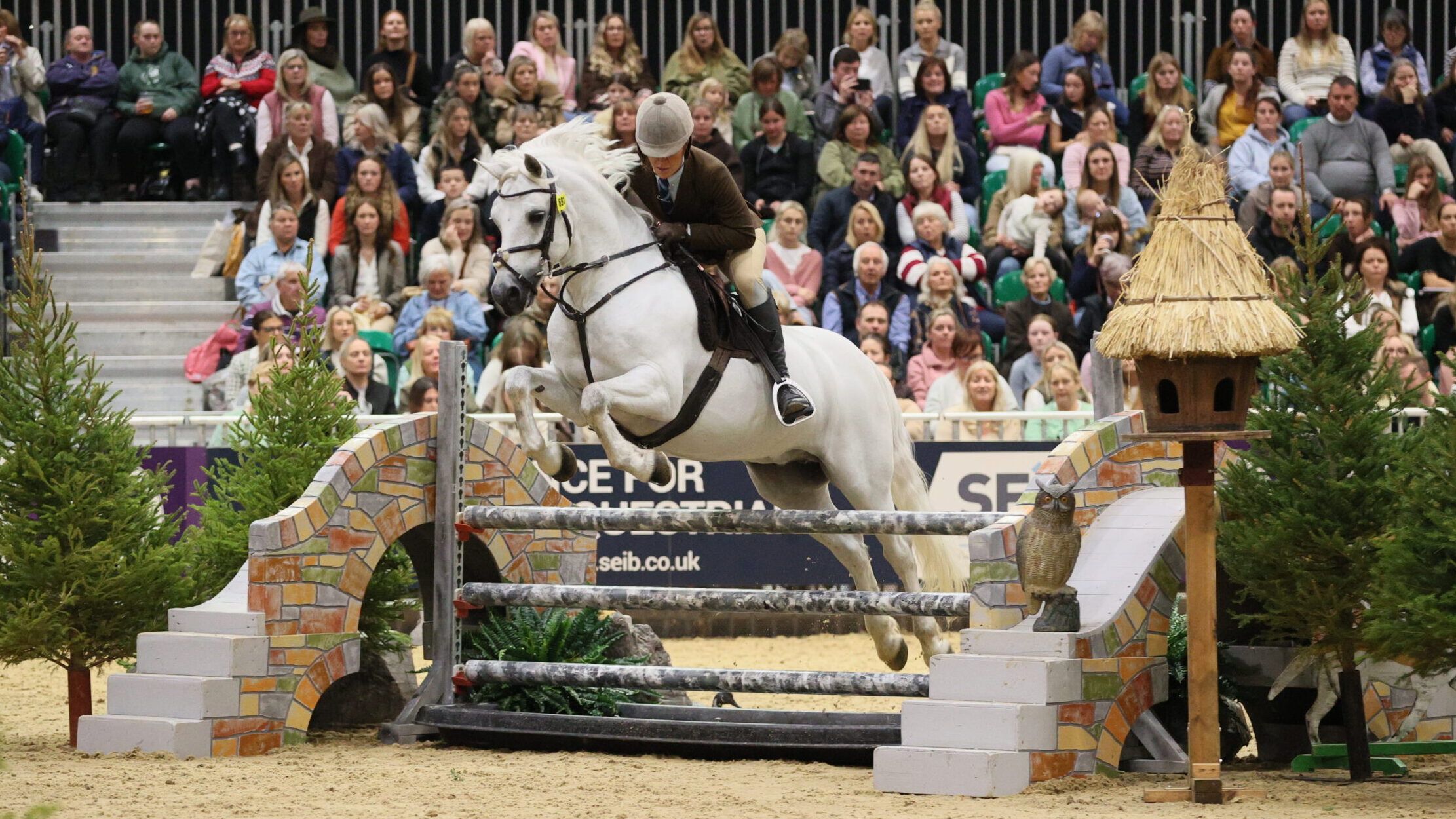 143cm M&M worker winner and Amy Smith en route to clear and the overall M&M worker spoils at HOYS 2025 Clonfert Melody's Boy