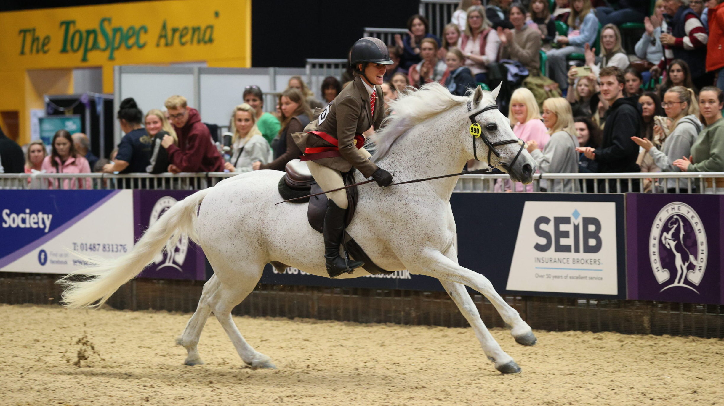 Highland Des and Rachel Turner win the exceeding 143cm M&M working hunetr pony final at HOYS 2025