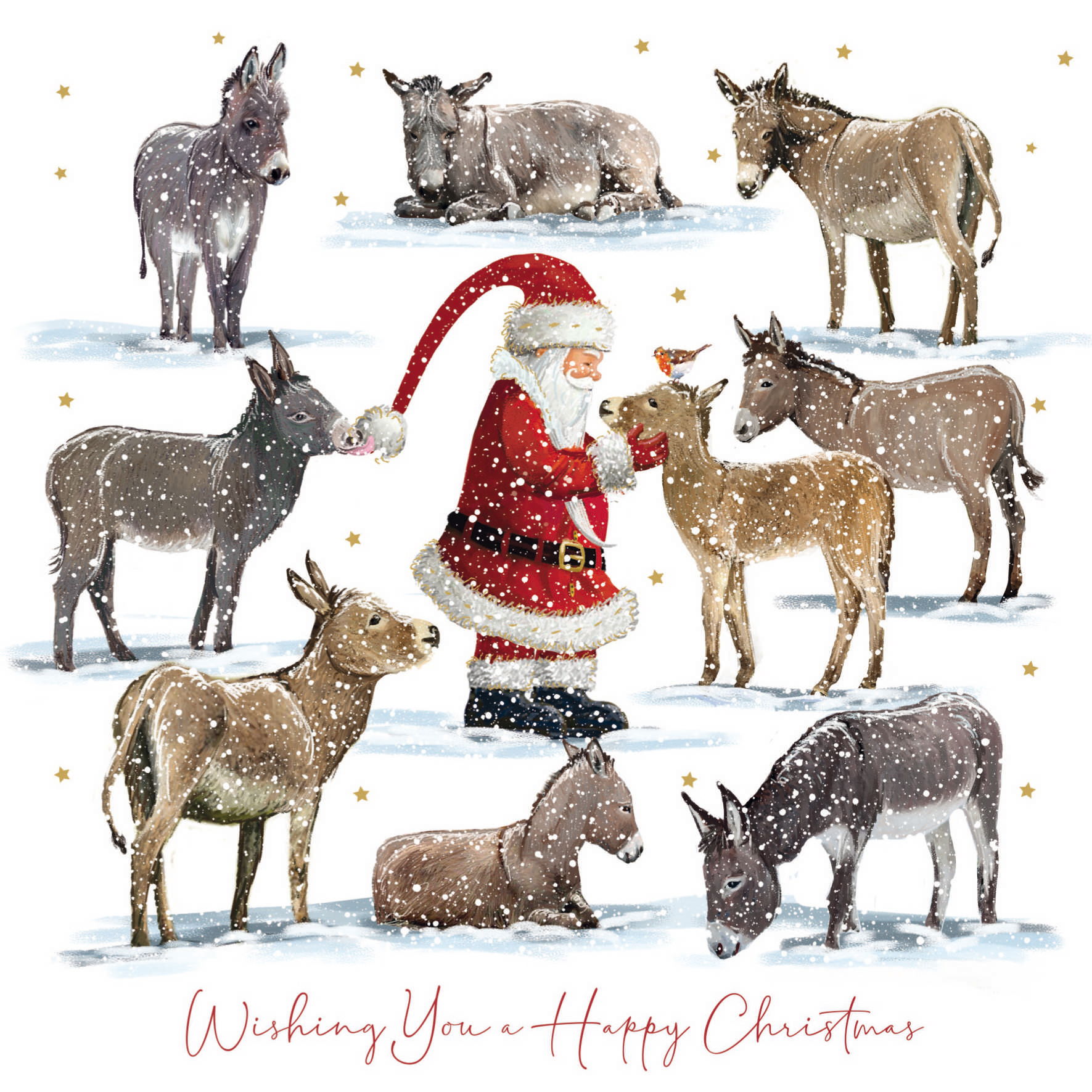 Donkey Sanctuary Christmas Card