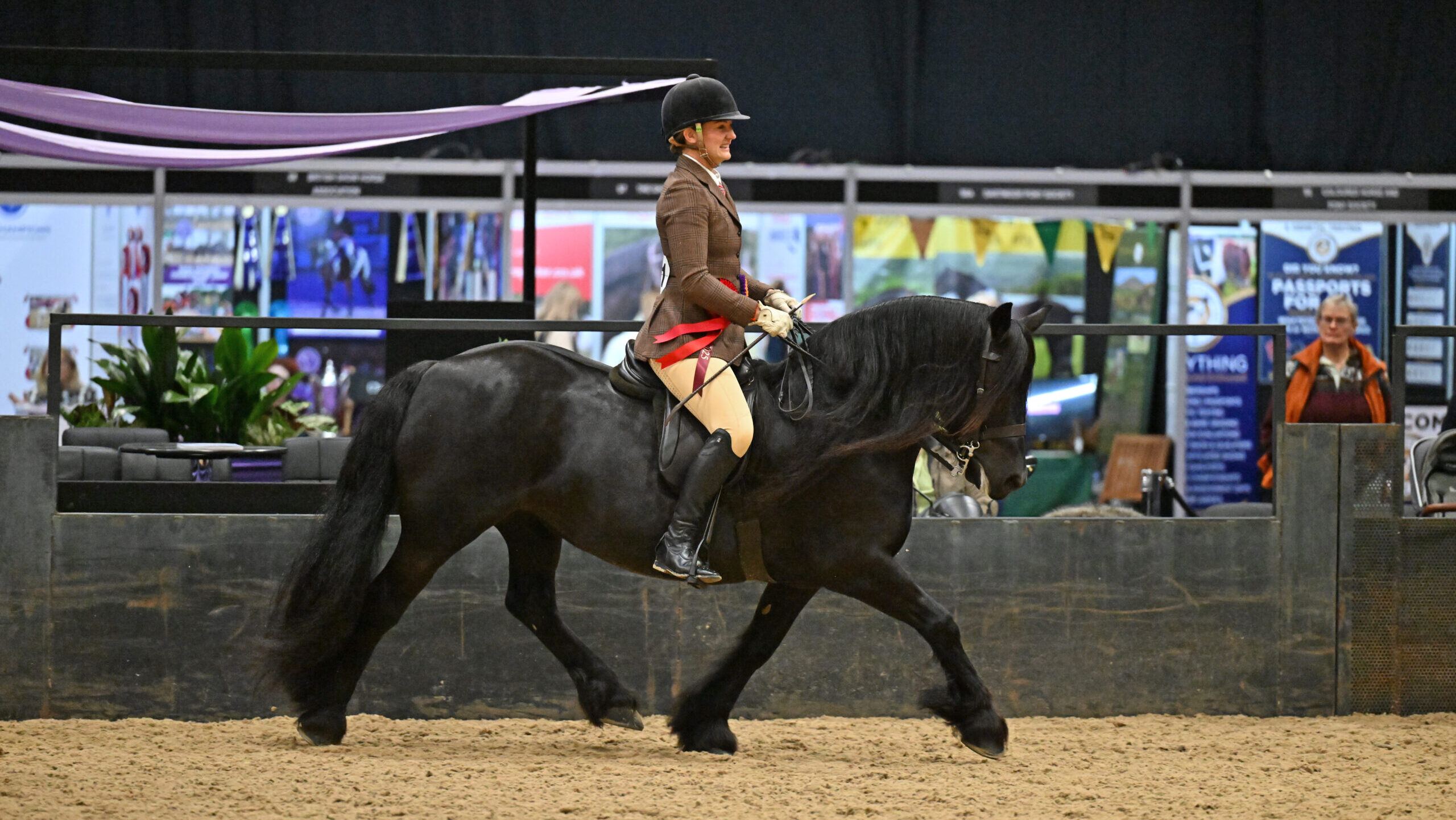 Greenholme Kate and Aimee Devane win the Fell breed class and are one of 25 stunning winners at HOYS