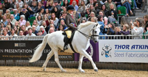 Equestrian Influencer Harlow White wins at HOYS