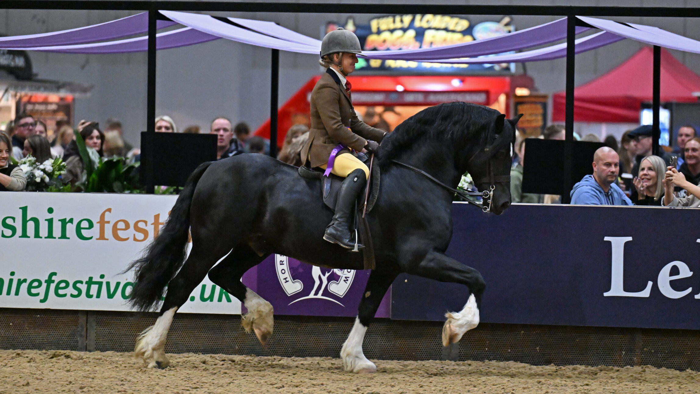 Sarah Parker and Llynhelyg Mister Jones top the Welsh section D class at HOYS,