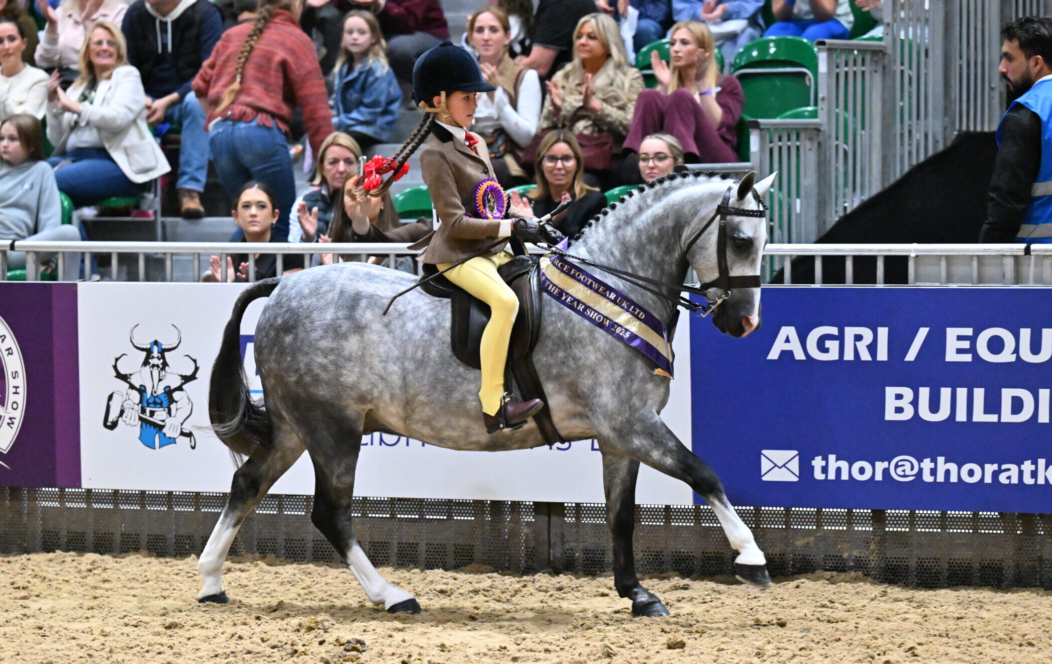 Darcie Fields and Rowfantina My Buddy are one of 25 stunning natives who won at HOYS 2025, in the 123cm show hunter pony class