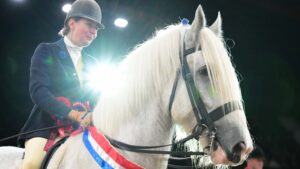 Emma Green and Cardington Billy Bob win the ridden heavy horse championship at HOYS