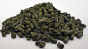 Close up of unsoaked Dengie Grass Pellets