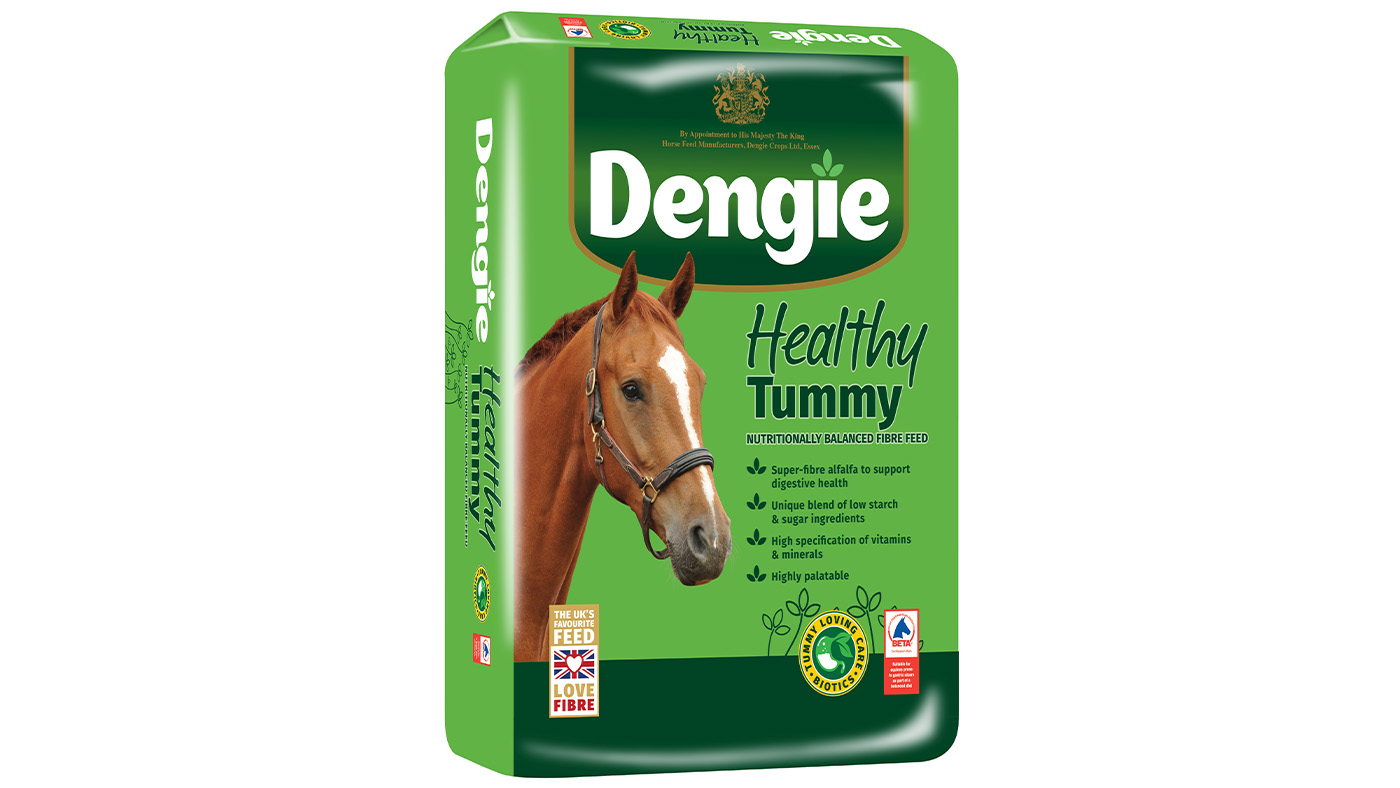 Dengie Healthy Tummy