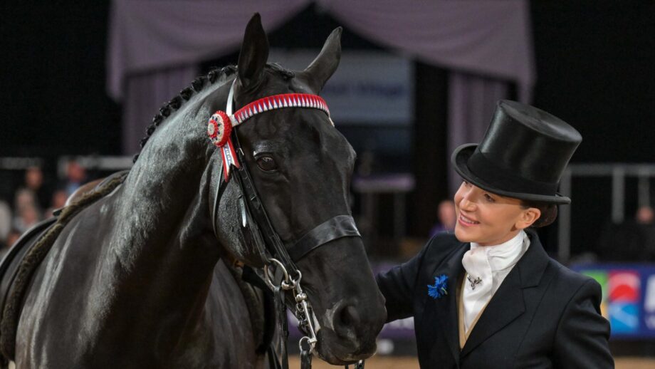 Forgeland Hyde Park is led from the arena by Isabella Mears-Wood; he's one of several prolific show horses and ponies who retured at HOYS 2025