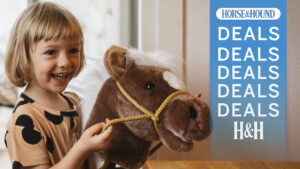 Child riding hobby horse toy, with H&H deals graphic overlay