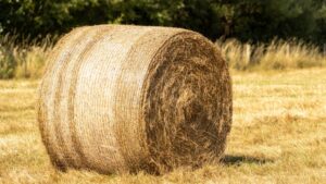 Round bale of hay in field