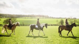 Three middle-aged horse riders walking though field, how menopause affects horse riders
