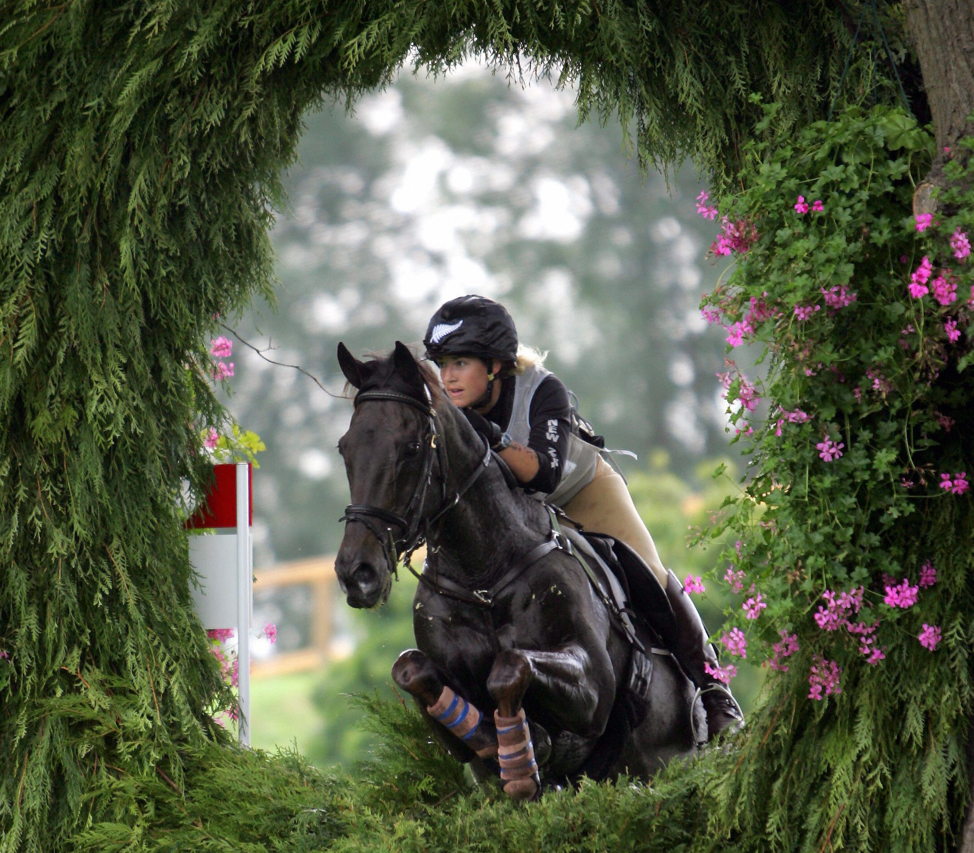 Aachen, GERMANY: New Zealand's rider Heelan Tompkins on "Glengarrick" takes part in the Eventing Cross Country competition of the World Equestrian Games in Aachen 26 August 2006. The games take place until 03 September 2006, involving some 800 riders from 60 countries. AFP PHOTO DDP/JOCHEN LUEBKE GERMANY OUT (Photo credit should read JOCHEN LUEBKE/DDP/AFP via Getty Images)