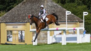 Arctic Soul during Day Three of The Land Rover Burghley Horse Trials 2017 on September 2, 2017 in Stamford, England.