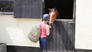 Woman taking a haynet to a horse with gastric ulcers in stable