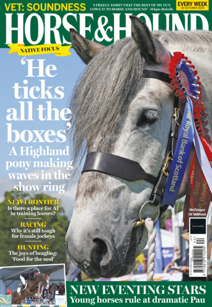 Cover of Horse & Hound 30th October issue, featuring a grey Highland pony
