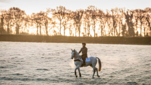 Horse rider on grey horse riding on frosty field on a winter’s morning
