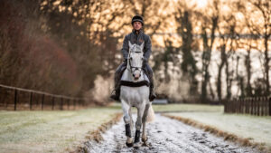 Rider on grey horse with morning light from winter sun in background