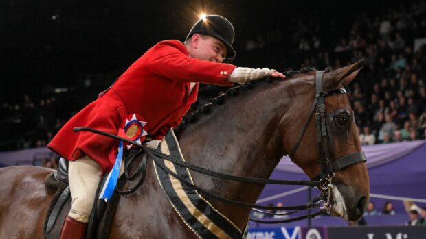 Will Morton gives Shanaghan Velvet a pat after they stand 2025 hunter champion at HOYS