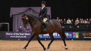 Vicky Smith and Tremarl Timpani claim the 2025 riding horse of the year title