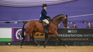 A bay former racehorse called As I See It trots around the international arena at HOYS, ridden by Loti Innes-Parry, who is wearing a blue show jacket and top hat.