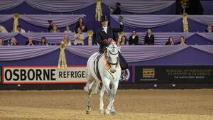 Olivia Minihane raises her left hand during her centre line moment in the main arena at HOYS 2025 riding grey ladies hunter Bloomfield Greystones. Olivia is riding side-saddle, with a top hat and navy habit, rosettes and her horse has his championship sash around his neck.