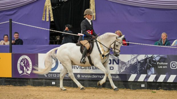 Clonfert Melody's Boy and Amy Canavan-Smith land the mountain and moorland working hunter pony championship at HOYS