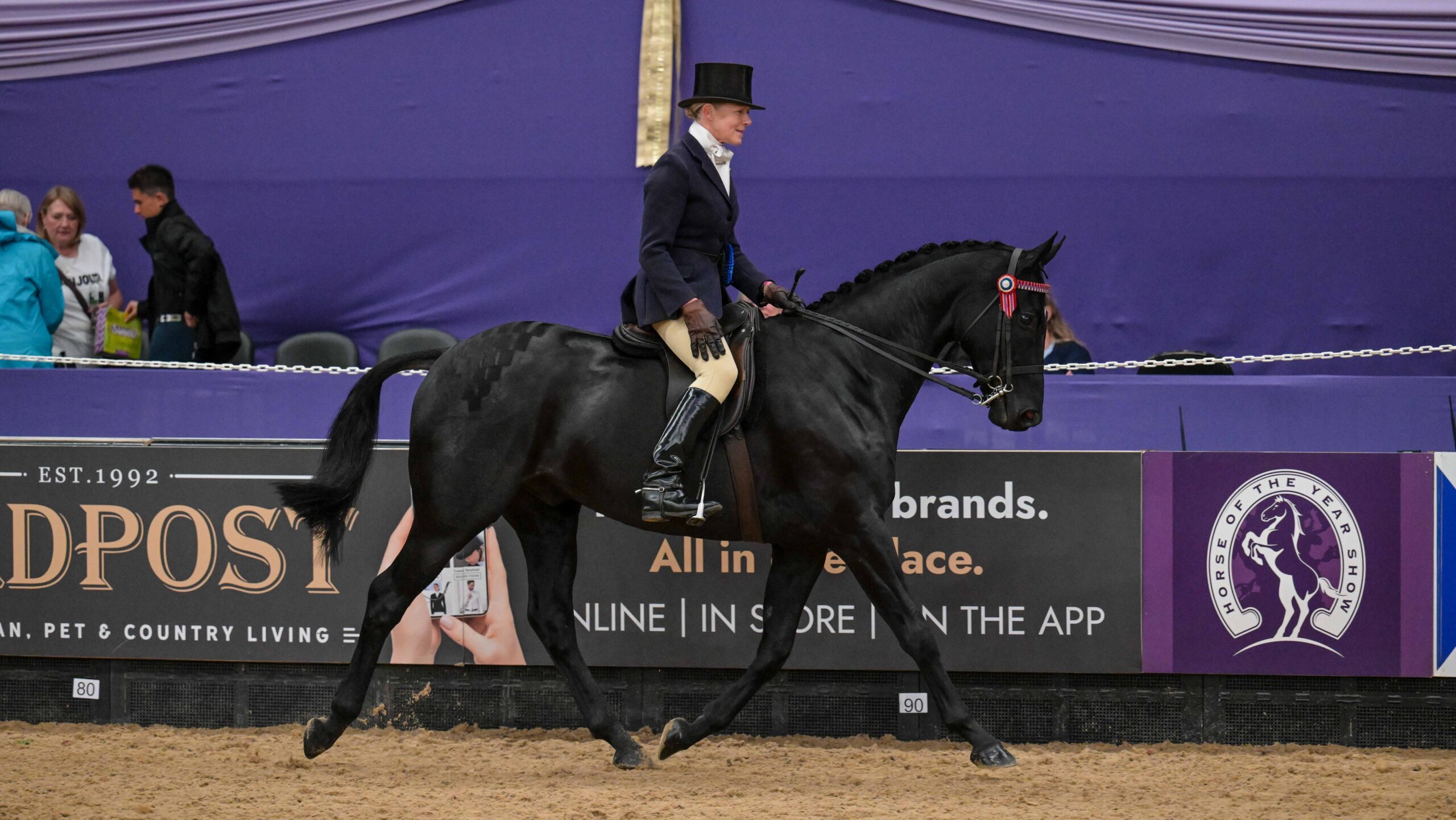 Boston Black Tie and Helen Baker are crowned HOYS Hack of the Year before the pair were sadly disqualified