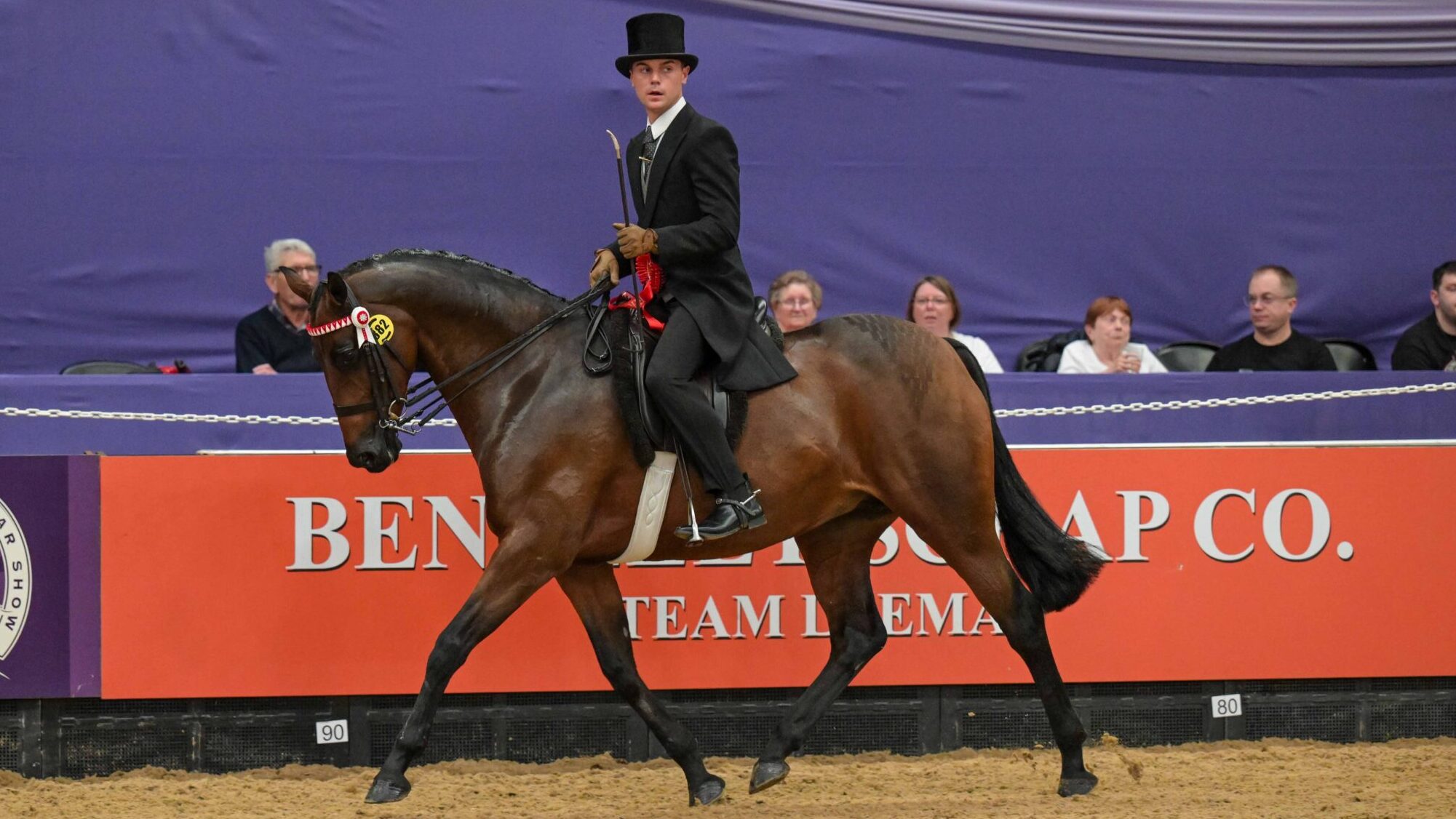 Cranbornes Sirius and Harrison Taylor win two championships at HOYS, and Sirius is one of several horses and ponies who retired at HOYS 2025.