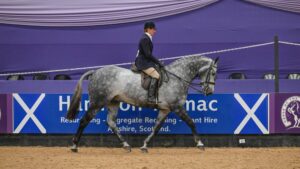 Highview Overado is HOYS small hunter champion, ridden by Jayne Ross
