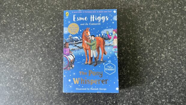 The Pony Whisperer book from Starlight Stable Gang series by Esme Higgs