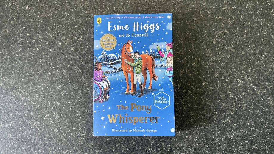 The Pony Whisperer book from Starlight Stable Gang series by Esme Higgs